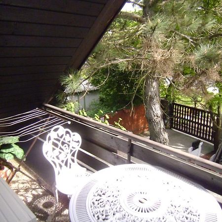 陶希托特福卢花园住宿加早餐旅馆 Tahitófalu 外观 照片